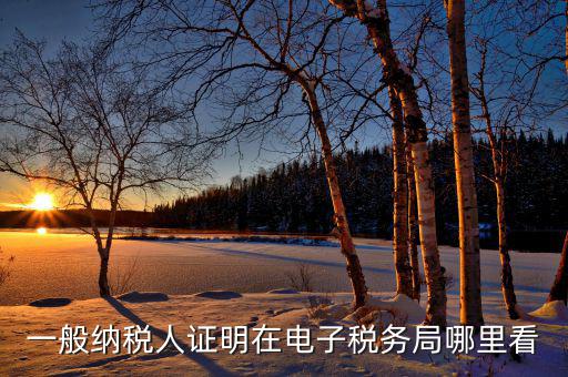 電子稅務(wù)局如何查詢稅務(wù)登記證，一般納稅人證明在電子稅務(wù)局哪里看