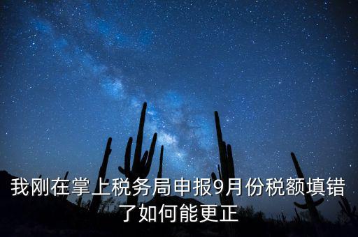 稅務(wù)如何更正申報(bào)，我剛在掌上稅務(wù)局申報(bào)9月份稅額填錯(cuò)了如何能更正