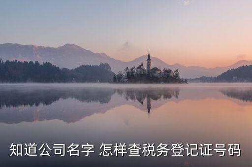 公司國(guó)稅編號(hào)如何查詢系統(tǒng)，公司的稅務(wù)登記證號(hào)怎么查詢