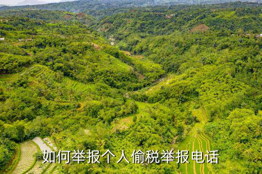 如何去稽查局 舉報(bào)電話，如何舉報(bào)個(gè)人偷稅舉報(bào)電話