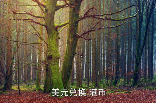 港幣對(duì)美元匯率怎么算,外匯市場:人民幣對(duì)美元匯率浮動(dòng)