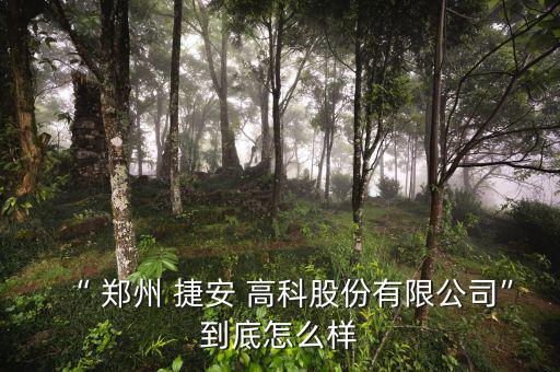 鄭州捷安高科怎么樣,鄭州捷安高科有限公司成立2002年