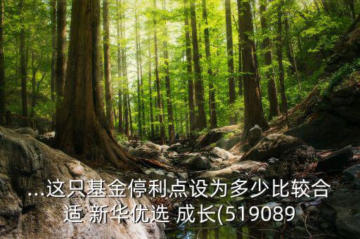 ...這只基金停利點設為多少比較合適 新華優(yōu)選 成長(519089