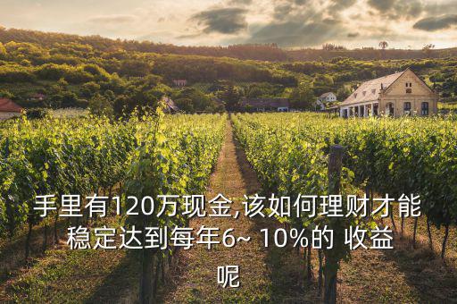 手里有120萬現(xiàn)金,該如何理財(cái)才能 穩(wěn)定達(dá)到每年6~ 10%的 收益呢