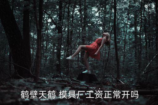  鶴壁天鶴 模具廠工資正常開嗎