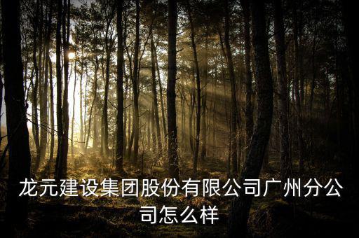 龍?jiān)ㄔO(shè)怎么樣,龍?jiān)ㄔO(shè)集團(tuán)有限公司廣州分公司注冊成立