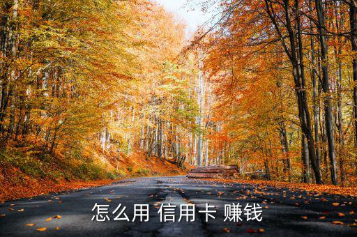 怎么玩信用卡賺錢,信用卡怎么用?商家賺商家錢不用卡費(fèi)