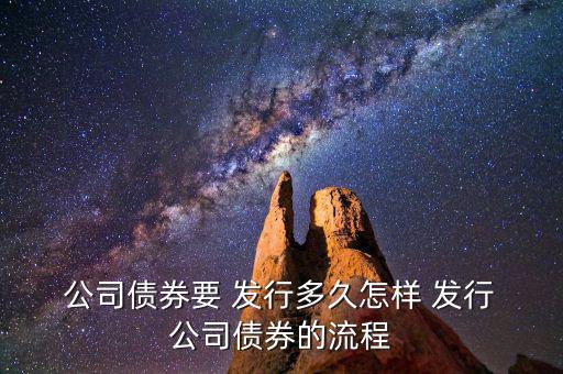 怎么發(fā)行公司債,公司債券發(fā)行條款: