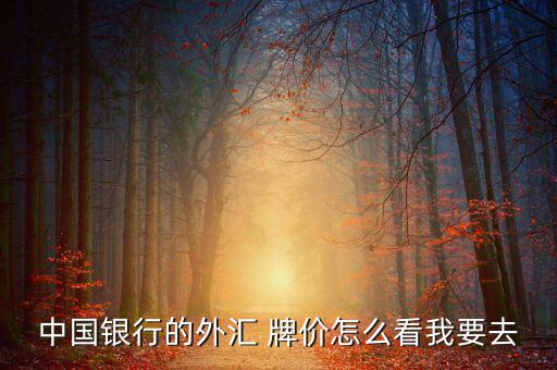 中國銀行的外匯 牌價怎么看我要去