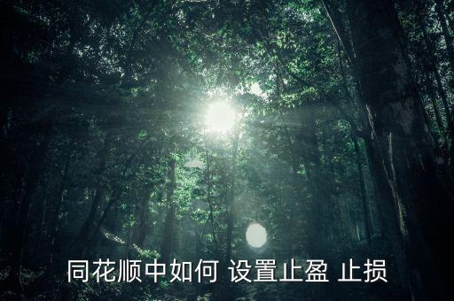 怎么設置止贏止損,同花順如何止盈?