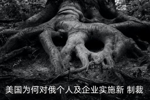 美國為何對俄個人及企業(yè)實施新 制裁