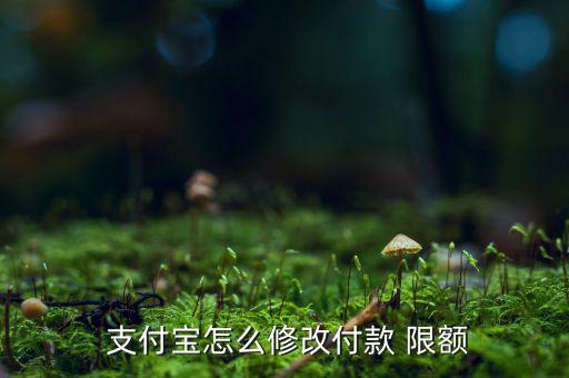  支付寶怎么修改付款 限額