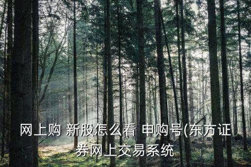 網上購 新股怎么看 申購號(東方證券網上交易系統(tǒng)
