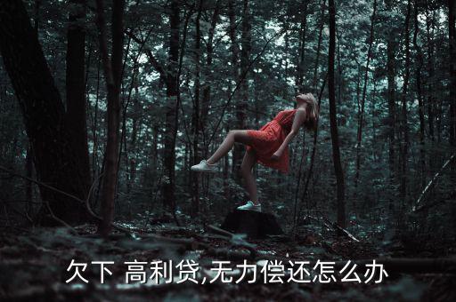 合肥欠高利貸怎么辦,高利貸被禁貸款利率不得違反國家有關規(guī)定
