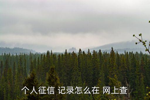 網(wǎng)上怎么樣查信用記錄,個人信用報告可在14或24小時內(nèi)查看