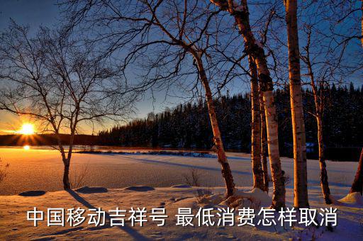 怎么關(guān)閉最低消費(fèi)額,手機(jī)營銷活動必須達(dá)到承諾消費(fèi)金額最低