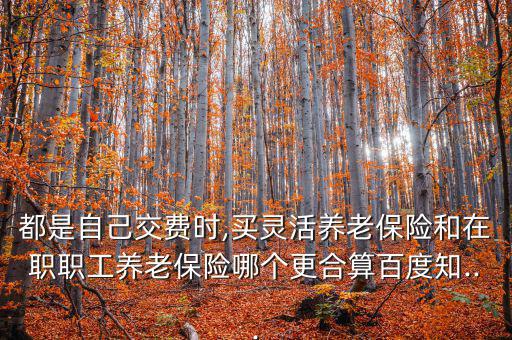 都是自己交費時,買靈活養(yǎng)老保險和在職職工養(yǎng)老保險哪個更合算百度知...