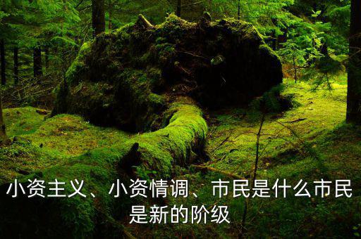 小資主義、小資情調(diào)、市民是什么市民是新的階級(jí)