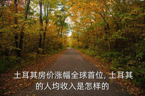  土耳其房價漲幅全球首位, 土耳其的人均收入是怎樣的
