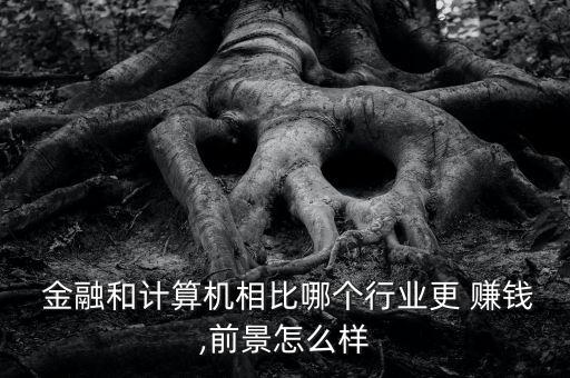 金融專(zhuān)業(yè)賺錢(qián)怎么樣,金融專(zhuān)業(yè)就業(yè)方向有哪些?