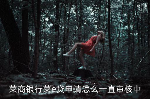 萊商貸怎么樣,商業(yè)銀行惡來貸款申請流程