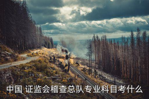中國 證監(jiān)會稽查總隊專業(yè)科目考什么