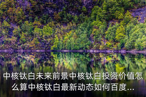 中核鈦白未來前景中核鈦白投資價(jià)值怎么算中核鈦白最新動(dòng)態(tài)如何百度...