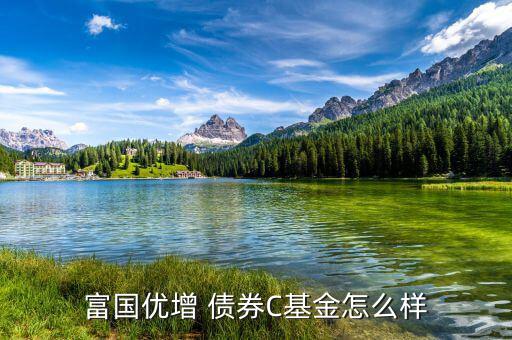 嘉實(shí)債券怎么樣,短債基金包括諾安債券、友邦短債、嘉實(shí)超短債