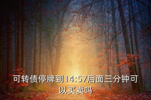 海印配債是怎么回事,《企業(yè)會(huì)計(jì)準(zhǔn)則》第12號(hào)債務(wù)重組