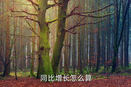 同比數(shù)據(jù)怎么算,同比與環(huán)比哪個更具代表性?