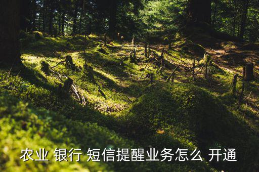 農行短信銀行怎么開通,銀行card短信業(yè)務提醒開通三步驟!