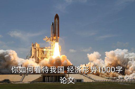 你如何看待我國 經濟形勢1000字論文