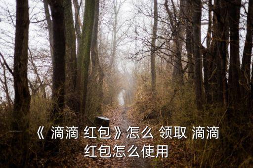 《 滴滴 紅包》怎么 領取 滴滴 紅包怎么使用