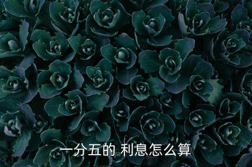 一分五的 利息怎么算
