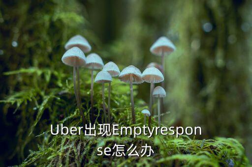 uber怎么了,美國(guó)打不到車可直接發(fā)郵件到uber說明情況