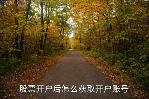 股票開(kāi)戶后怎么獲取開(kāi)戶賬號(hào)
