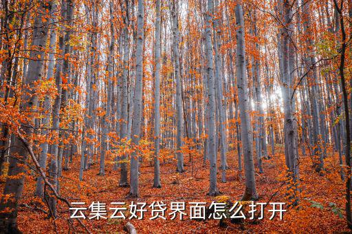  云集云好貸界面怎么打開
