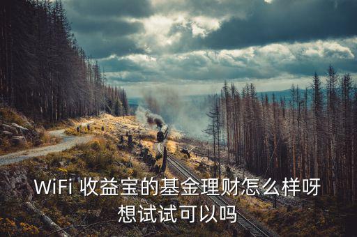 WiFi 收益寶的基金理財(cái)怎么樣呀想試試可以嗎
