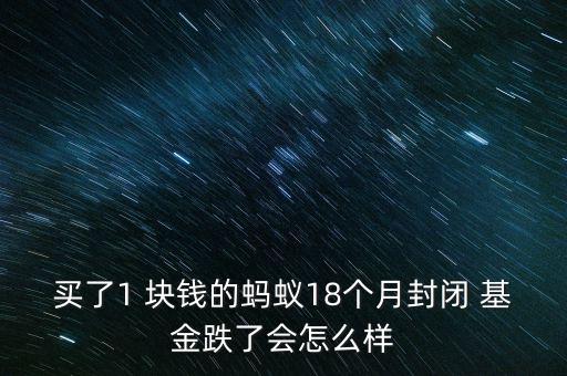 買了1 塊錢的螞蟻18個(gè)月封閉 基金跌了會(huì)怎么樣