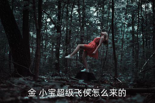 金 小寶超級(jí)飛俠怎么來的
