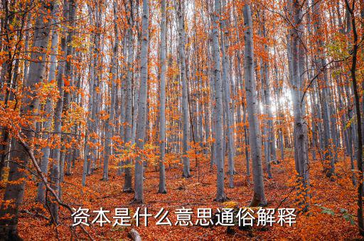  資本是什么意思通俗解釋