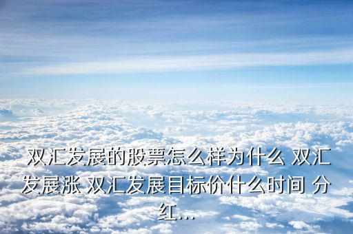 雙匯發(fā)展的股票怎么樣為什么 雙匯發(fā)展?jié)q 雙匯發(fā)展目標(biāo)價什么時間 分紅...
