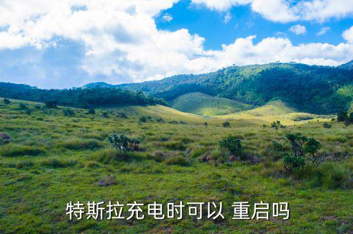 特斯拉怎么重啟,特斯拉充電方式以車型為例開(kāi)放充電接口