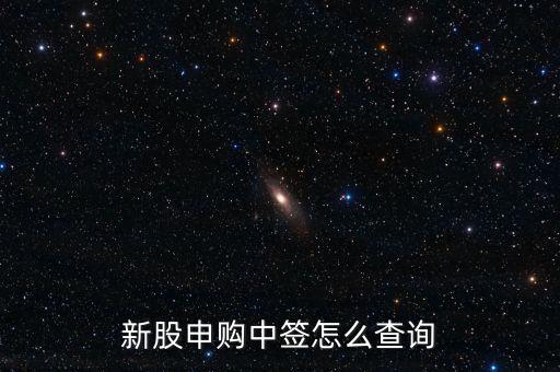 新股申購(gòu)中簽怎么查詢(xún)