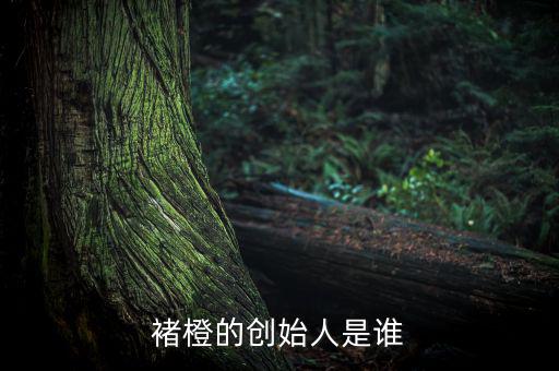 褚橙是怎么做地推的,選票熱門人選票區(qū)競選廣播