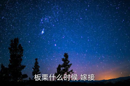 板栗什么時候 嫁接