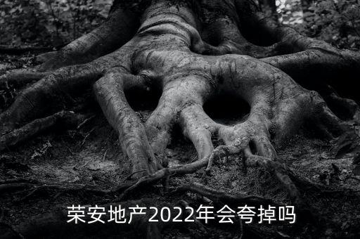 寧波榮安房子怎么樣,中國(guó)房地產(chǎn)開(kāi)發(fā)企業(yè)百?gòu)?qiáng)之一扎根寧波