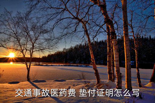 交通事故醫(yī)藥費(fèi) 墊付證明怎么寫