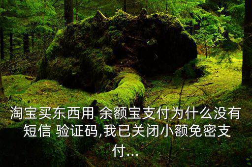 余額寶付款怎么開(kāi)通短信驗(yàn)證,如何使用支付寶付款?