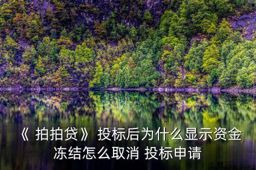 拍拍貸怎么投標,拍拍借貸為何顯示資金被凍結(jié)?原因所在